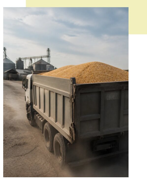 Перевозка сельхозпродукции навалом в Владикавказ по цене от 3092 р. | Агросервис-Вкз